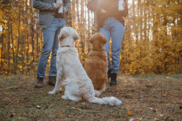 Bewegung trotz Fatigue Syndrom bei Krebs: Versuchen Sie auch in schwachen Zeiten im Rahmen Ihrer Möglichkeiten aktiv zu bleiben.
